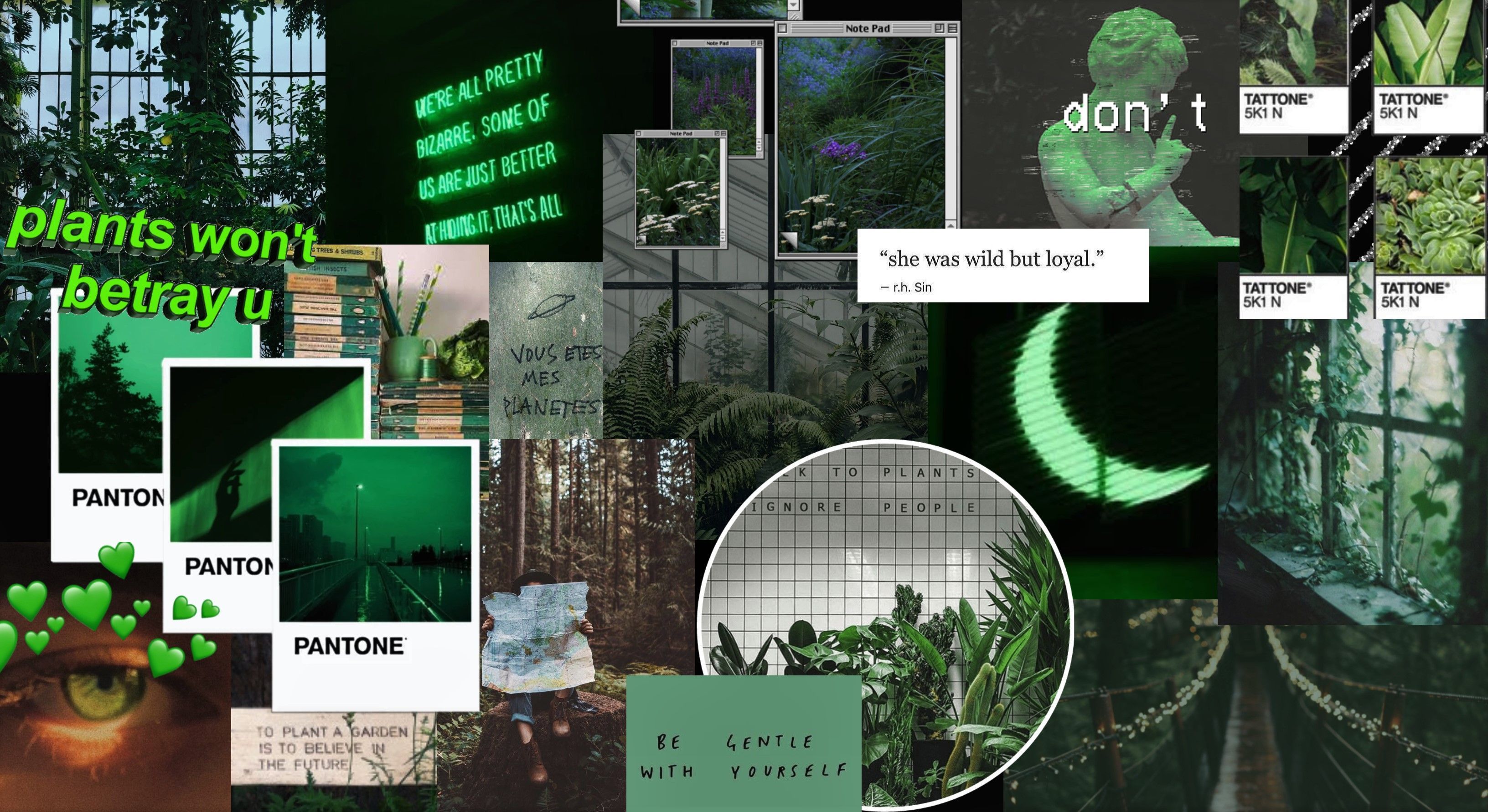 Featured image of post Vintage Dark Green Aesthetic Wallpaper Laptop